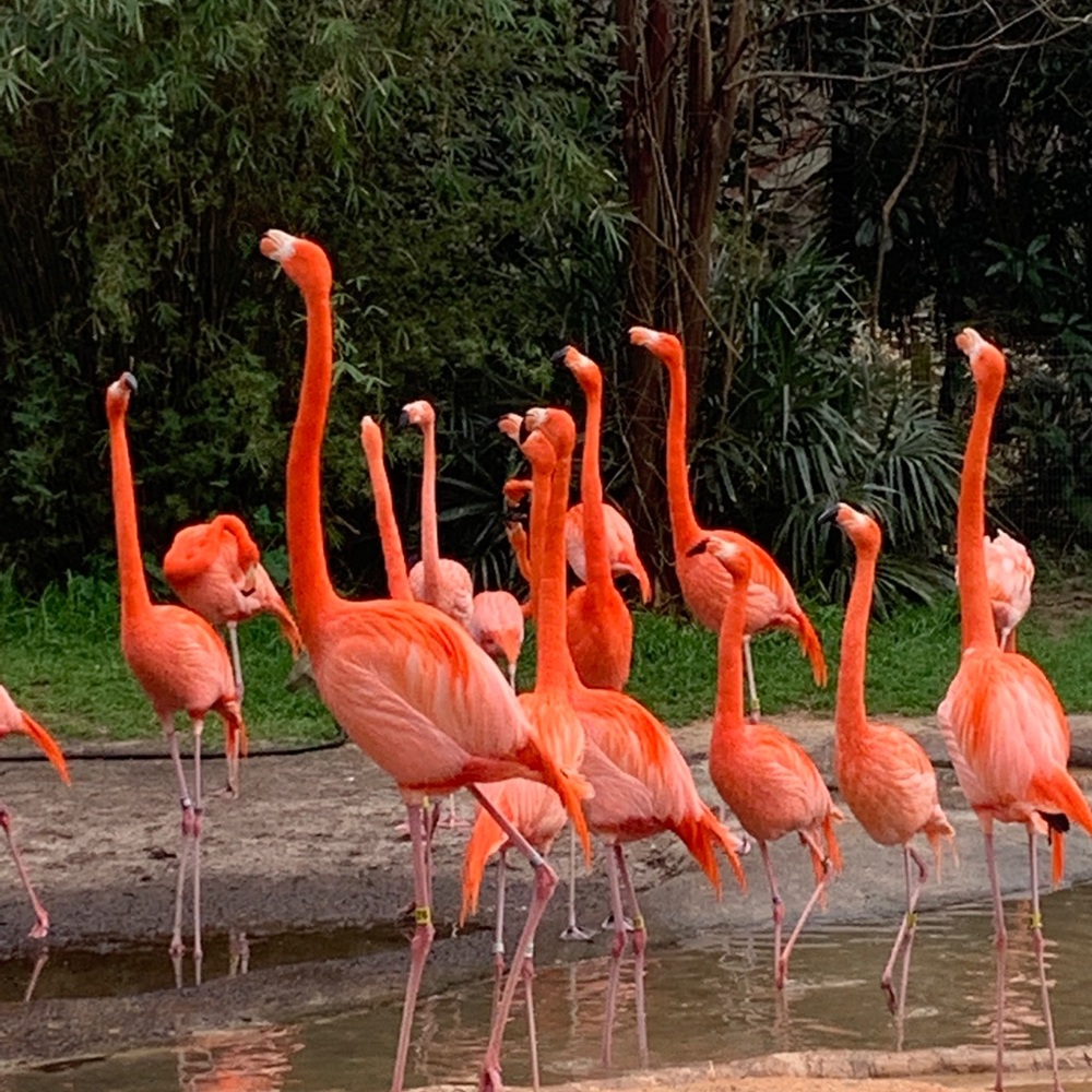 Meet your Posher, Gina